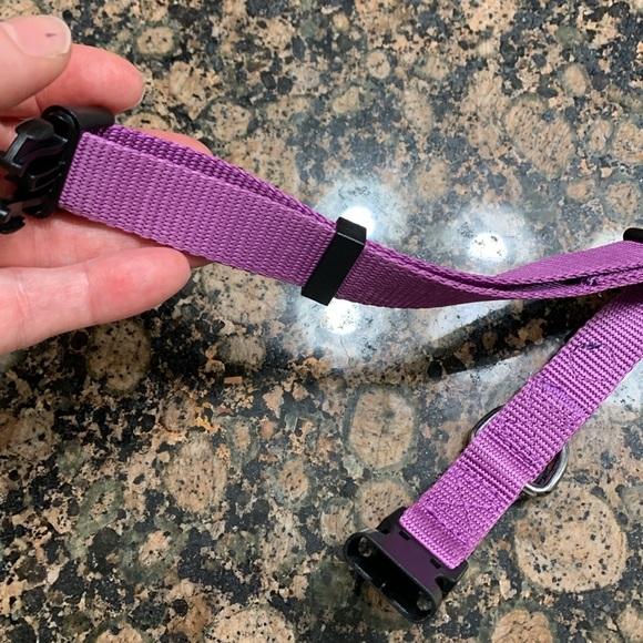 Blueberry Pet Classic Dog Collar, Dark Orchid, Nylon Collars for Dogs - Picture 6 of 7